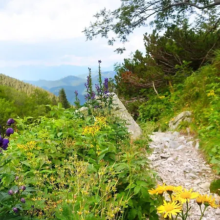 Jasna 96 Iii Lägenhet Demanovska Dolina